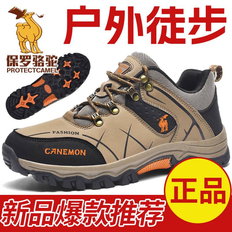 Outdoor Large Size Hiking Shoes Middle-aged and Elderly Men's Soft-soled Hiking Sneakers Casual Shoes Travel Lightweight Dad Shoes