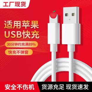 Suitable for Apple Data Cable Fast Charging Typec Fast Charging Cable iPhone Mobile Phone Pd Data Cable USB Apple Charging Cable