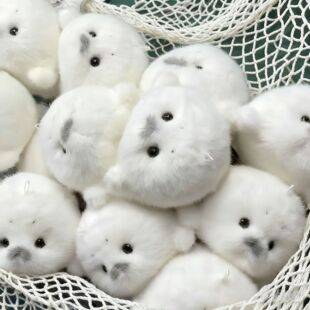 Cute Baby Seal Plush Doll Pendant Simulation Ocean Doll Seal Doll Grabber Machine Wholesale
