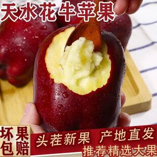 Authentic Huaniu Apples from Tianshui, Gansu, Fresh Fruit for Babies, Sweet and Crisp, Free Shipping and Dropshipping Available