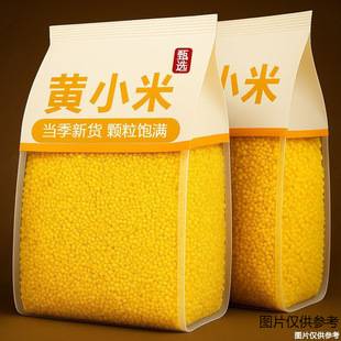 New Stock of Mizhi Millet, Yellow Millet, with Lots of Oil When Cooked, Soft and Sticky, Suitable for Breakfast Cereals, Wholesale for Commercial Use