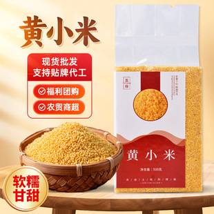 Fresh Yellow Xiao Mi Rice for Postpartum Care, New Rice for Porridge, Whole Grain Xiao Mi Rice, Wholesale from Xiao Mi Manufacturer
