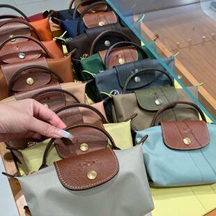 French-style high-quality dragon-patterned mini dumpling bag, nylon handbag, shoulder crossbody bag, mini coin purse, women's bag