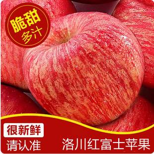 Shaanxi Yan'An Luochuan High Mountain Red Fuji Apples, Fresh Seasonal Fruit for Pregnant Women, Crisp, Sweet and Juicy, Whole Box Wholesale