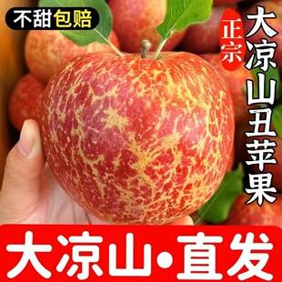 Yunnan Zhaotong Ugly Apple 5kg Fresh Seasonal Fruit Yanyuan Red Fuji with Rock Sugar Heart Fresh Seasonal Sweet Free Shipping