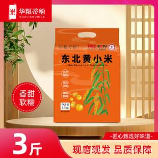 Northeast Yellow Millet 1.5kg Vacuum-Packed Heilongjiang Small Yellow Millet Porridge 2026 New Crop Northeast Farm-Made Millet Oil