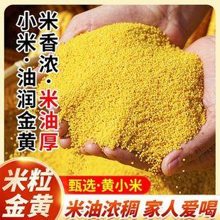 Northeast Xiaomi 2.5kg Wholesale New Xiaomi Farmhouse Golden Xiaomi Porridge Xiaomi Porridge Whole Grains Can Be Delivered
