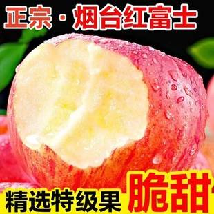 Shandong Yantai Red Fuji Apple Fresh Fruit Fresh Seasonal Crisp Sweet Whole Box Wholesale [Year-Round Supply]
