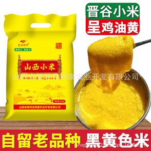 Shanxi Yellow Millet Authentic Jingui No.21 Millet New Millet Farm Self-planted Fanzhi Sheep Fertilizer Millet Moon Rice