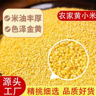 Yellow Millet New Crop for Porridge, Glutinous Millet Porridge, Small Yellow Millet, Whole Grains, Postpartum Rice, Farm-Grown Fragrant Glutinous Millet, Coarse Grains