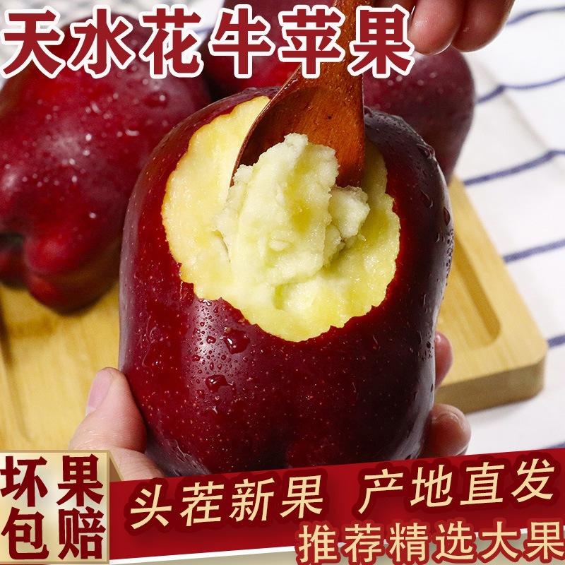 Authentic Huaniu Apples from Tianshui, Gansu, Fresh Fruit for Babies, Sweet and Crisp, Free Shipping and Dropshipping Available