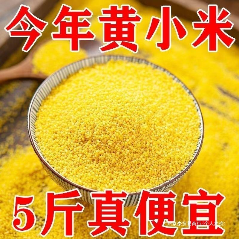 2.5kg Fresh Yellow Millet for Postpartum Care, New Farmhouse Millet, Whole Grains for Cooking Porridge