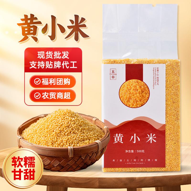 Fresh Yellow Xiao Mi Rice for Postpartum Care, New Rice for Porridge, Whole Grain Xiao Mi Rice, Wholesale from Xiao Mi Manufacturer