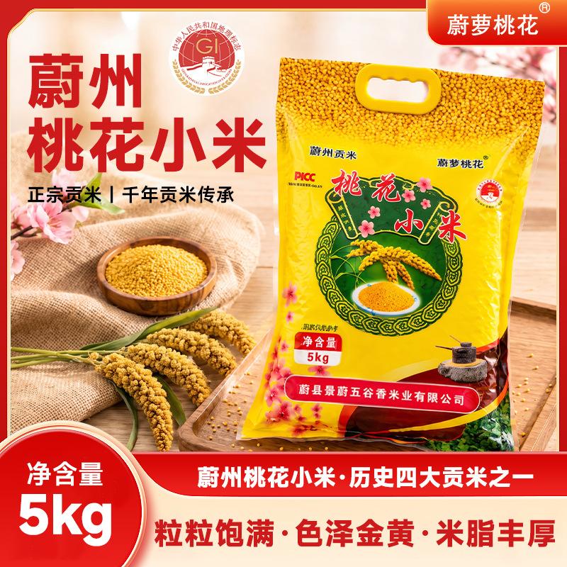 Weixian Specialty Peach Blossom Yellow Millet 10 Pounds, Rich in Rice Oil, Available Exclusively for Supermarkets and Corporate Group Purchases, Wholesale of Whole Grains and Coarse Cereals