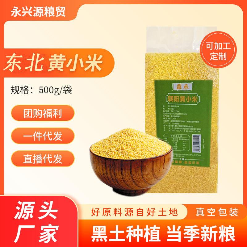 Huangxiao Mi New Rice Porridge 500g Vacuum Packed Source Factory Northeastern Millet New Rice Wholesale Whole Grain Rice