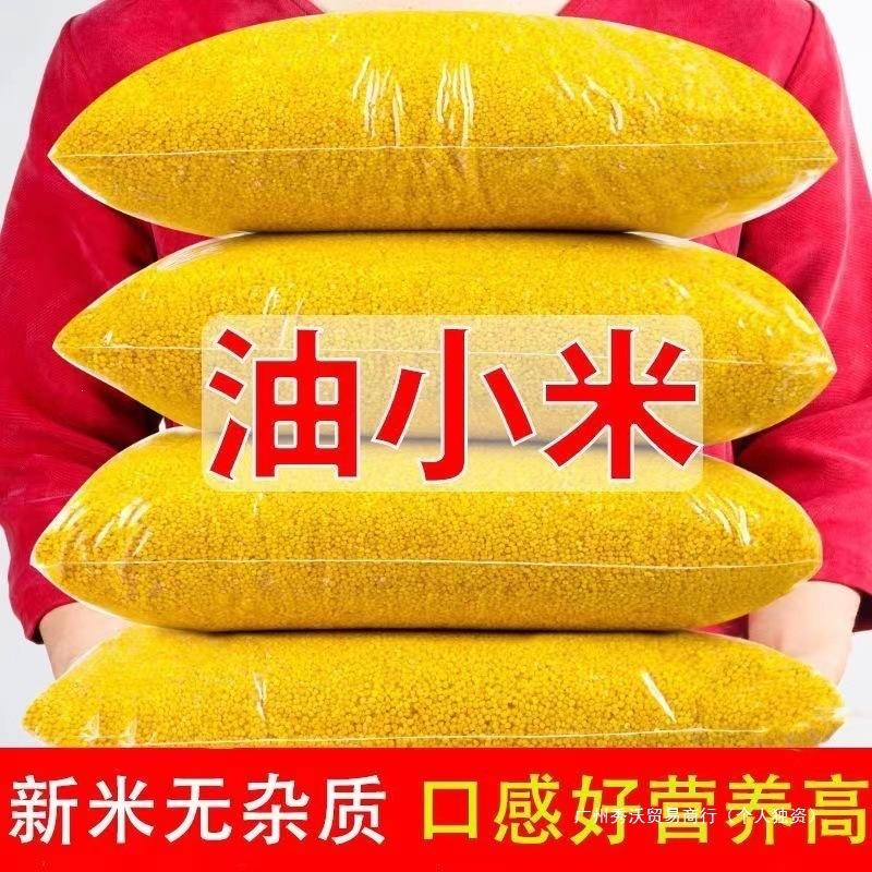 Shaanxi yellow millet, authentic farm fresh produce, five-grain and mixed grain, glutinous and delicious millet porridge, 2.5kg pack wholesale