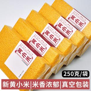 Cheng Shangkou Yellow Millet New Rice Farmhouse Small Yellow Rice Whole Grain Porridge Edible Millet Porridge Rice Porridge
