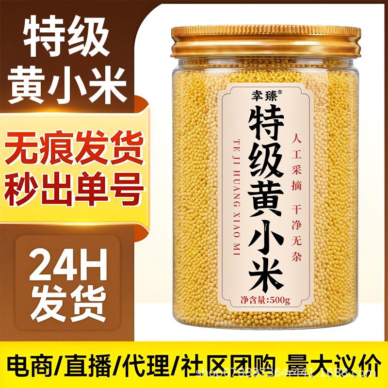 Premium yellow millet, seasonal new rice from the Northeast, golden millet for porridge, whole grain cereals, coarse grain millet for breakfast