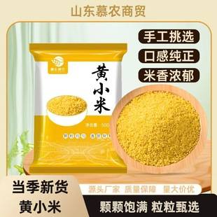 Yellow Millet 500g Packaged New Grain Coarse Grains Fragrant and Glutinous Millet Porridge