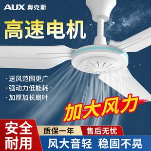 Oaks 1m Plastic Large Ceiling Fan Electric Fan for Living Room, Bedroom, Kitchen Ceiling Fan