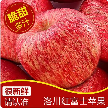 Shaanxi Yan'An Luochuan High Mountain Red Fuji Apples, Fresh Seasonal Fruit for Pregnant Women, Crisp, Sweet and Juicy, Whole Box Wholesale