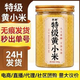 Premium yellow millet, seasonal new rice from the Northeast, golden millet for porridge, whole grain cereals, coarse grain millet for breakfast