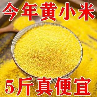 2.5kg Xiaomi fresh yellow millet for postpartum care, new crop farm millet for porridge, whole grain food for cooking porridge, wholesale